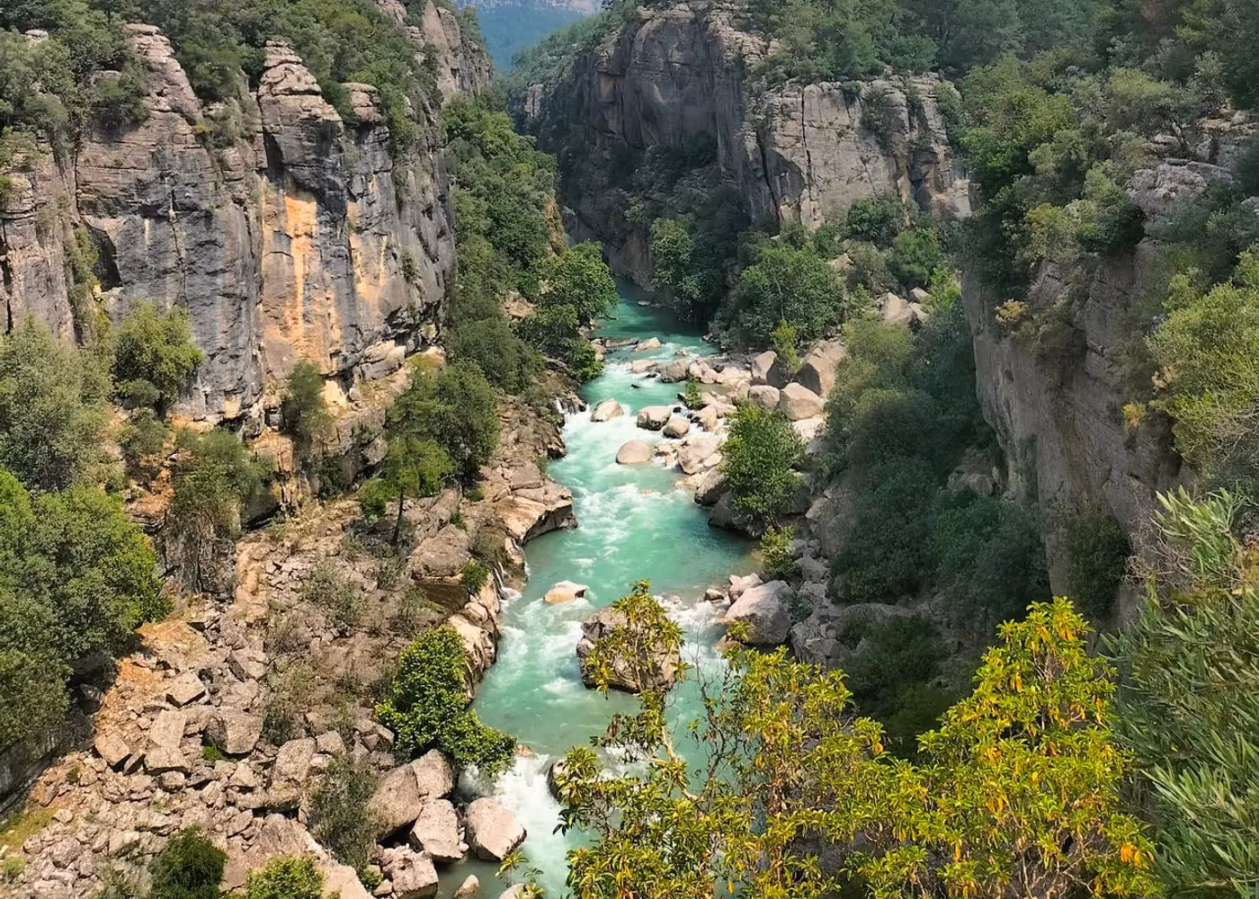Beboste rotswanden van de Köprülü-kloof met de rivier diep beneden