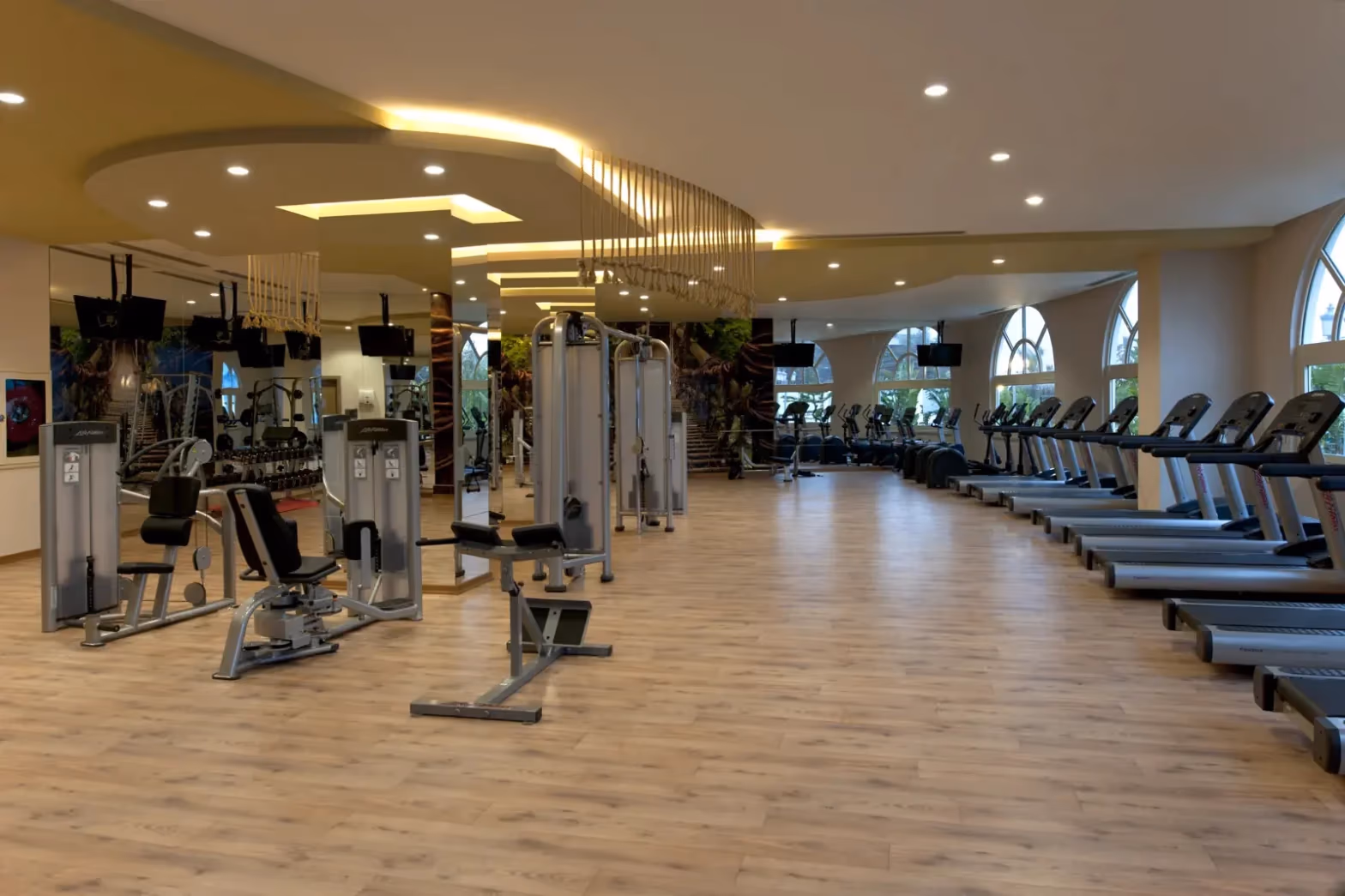 Loopbanden en krachtapparaten in de fitness van Delphin Imperial Lara